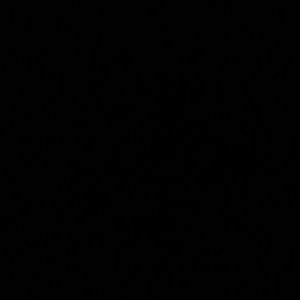 Meet your Posher, Dashawna