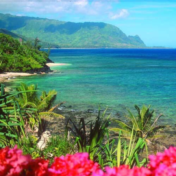 Meet your Posher, Brittany - Picture 2 of 2