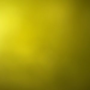 Meet your Posher, Justi