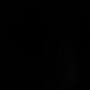 Meet your Posher, Corinna