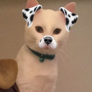 Meet your Posher, Kaylee