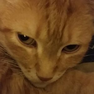 Meet your Posher, Kendra