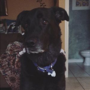 Meet your Posher, Courtney