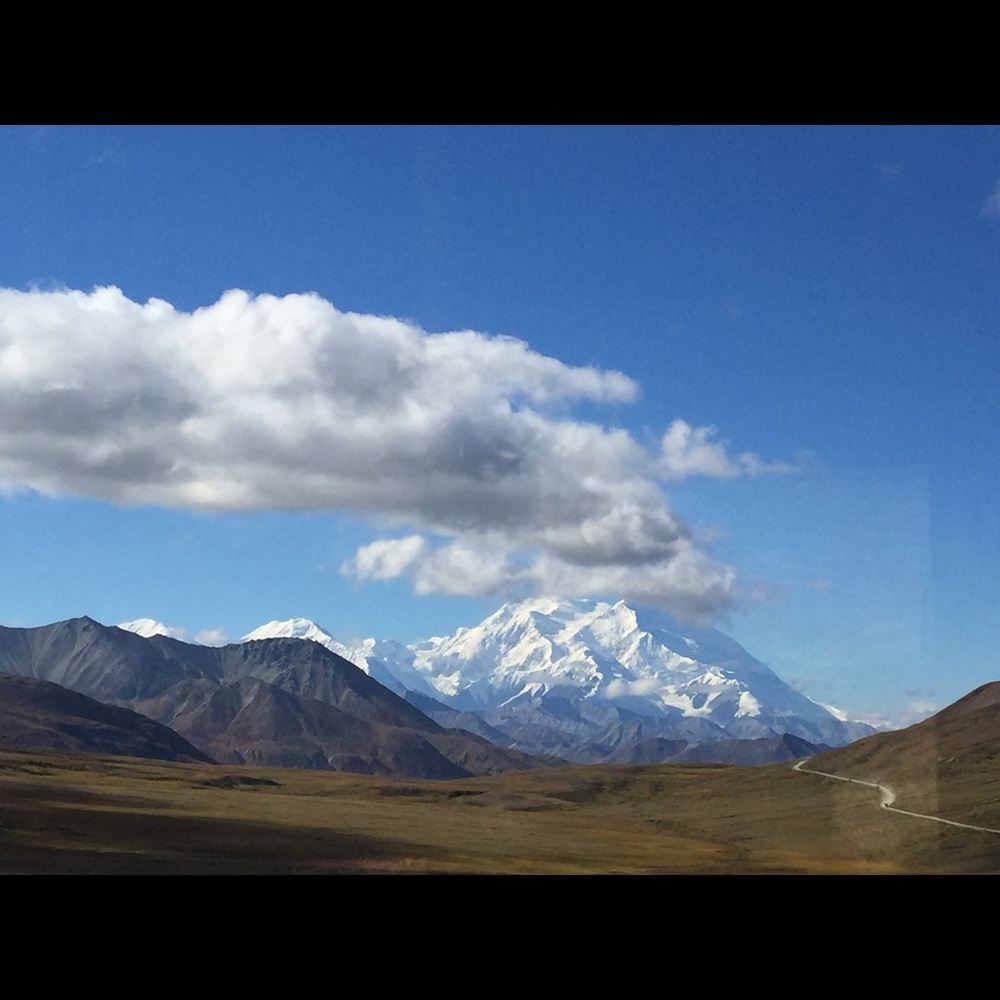 Meet your Posher, Sas