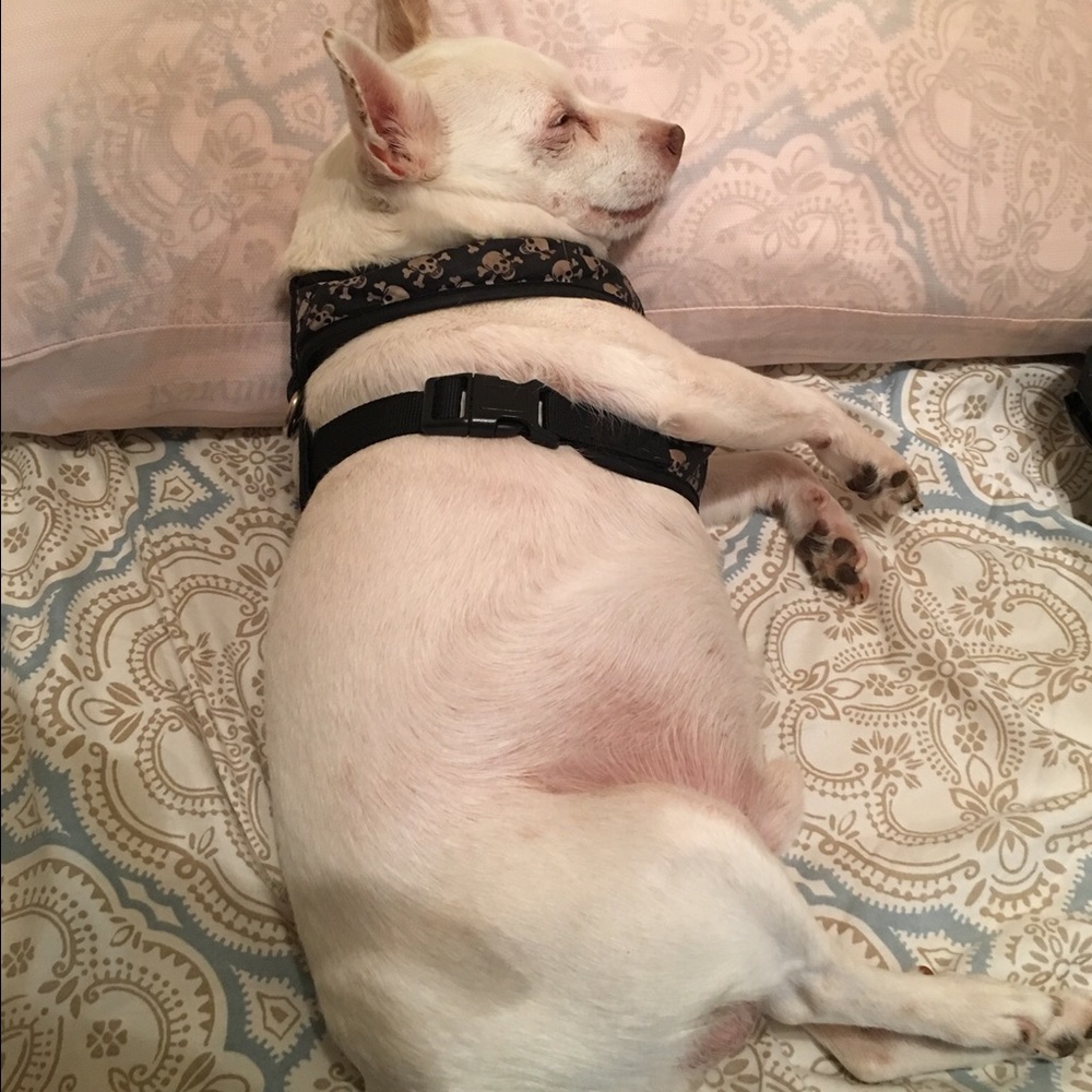 Meet your Posher, Cheri