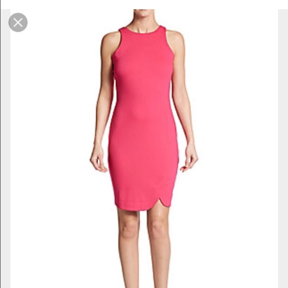 Romeo + Juliet Couture NWT Pink Tulip Dress