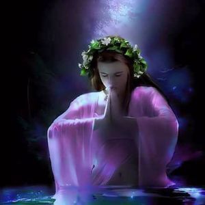 Meet your Posher, Lynn