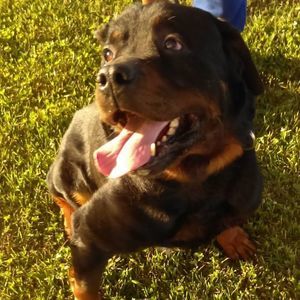 Meet your Posher, Brittney