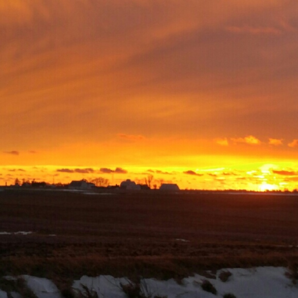 Meet your Posher, Chelsea