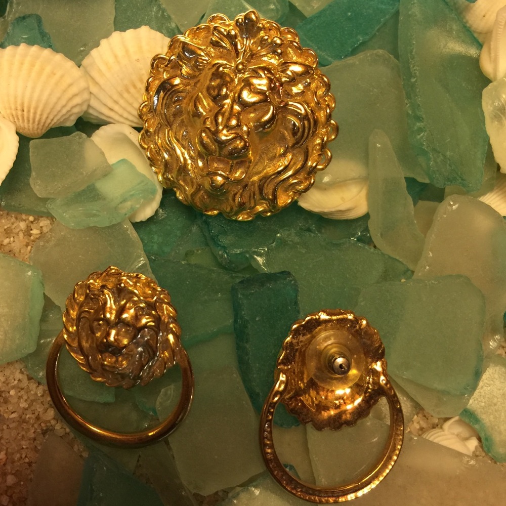 🦁 lion costume jewelry