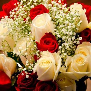 Meet your Posher, Robin