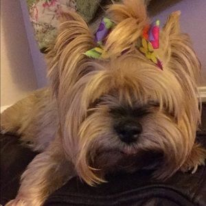 Meet your Posher, Vicki