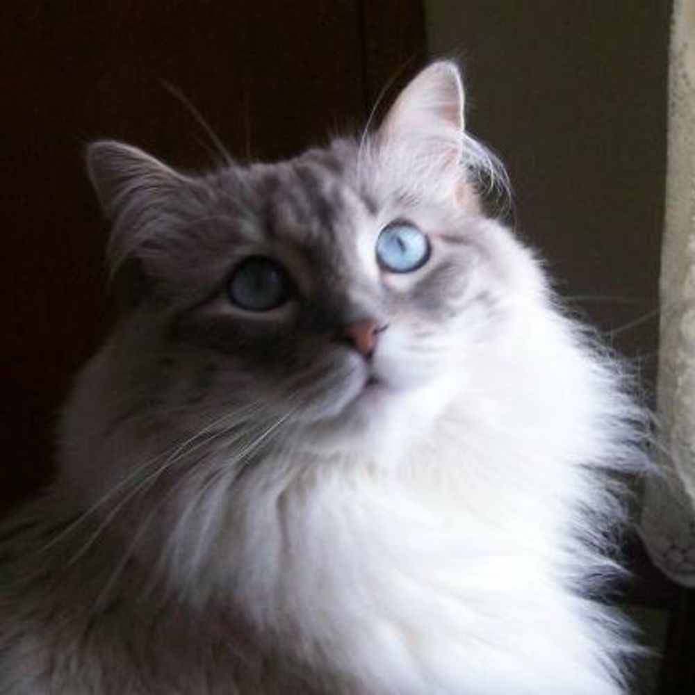 Meet your Posher, Doreen