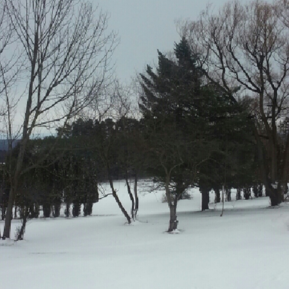 Meet your Posher, Charlotte