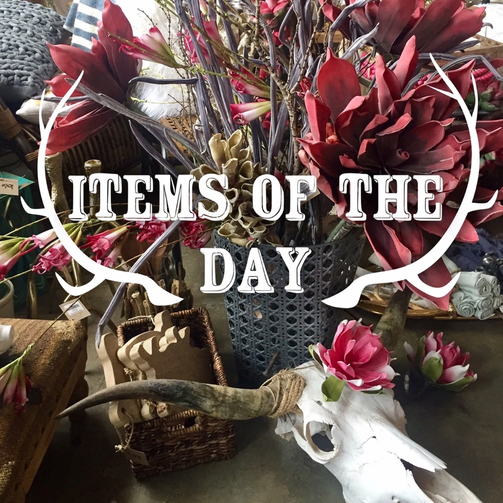 Featured Items of the Day