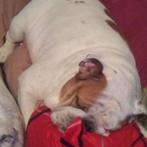 Meet your Posher, Joann