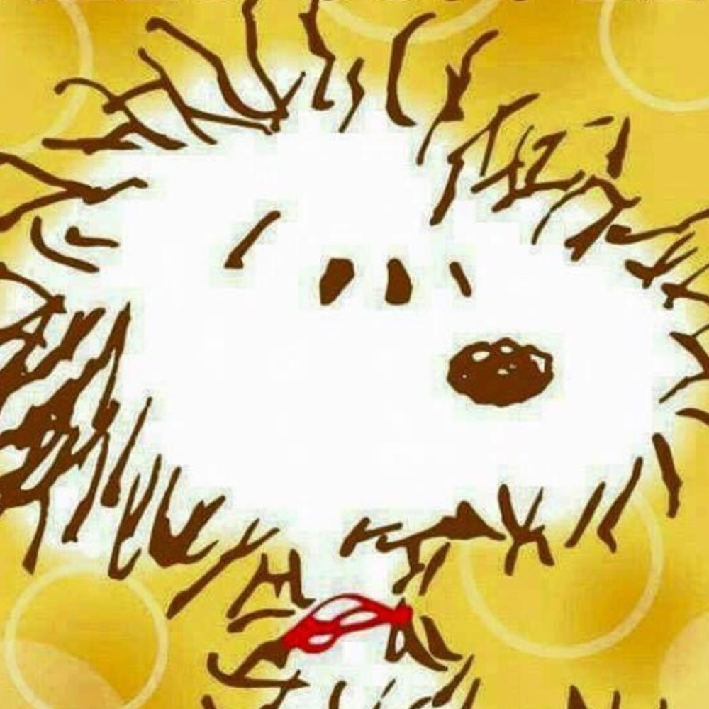 Meet your Posher, Janet