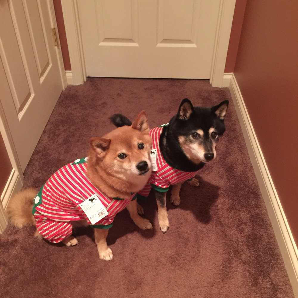 Meet your Posher, Marilyn