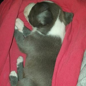 Meet your Posher, Cassandra