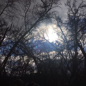 Meet your Posher, Bella