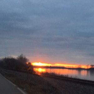 Meet your Posher, Carli