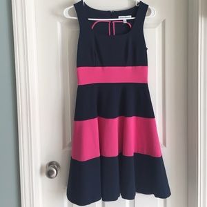 Banana Republic Navy and Pink Striped Dress