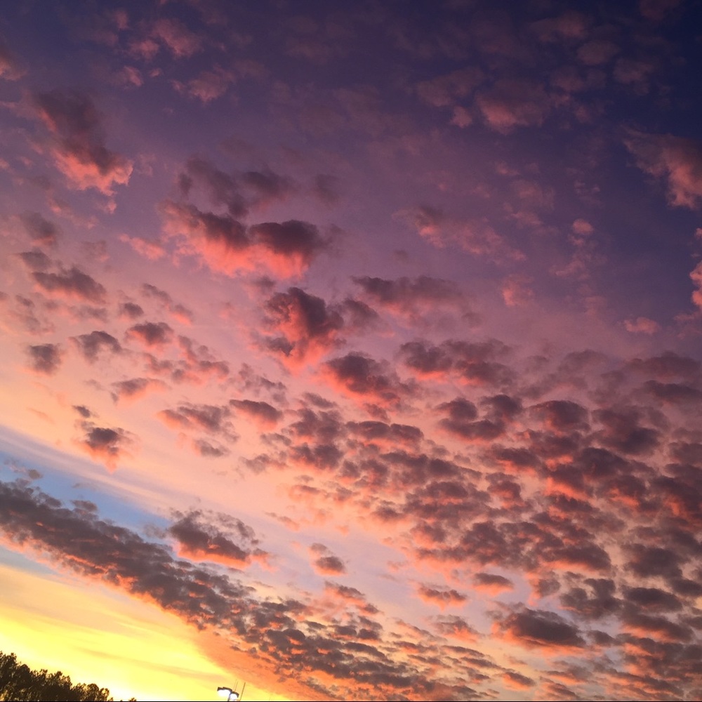 Meet your Posher, Prxpht