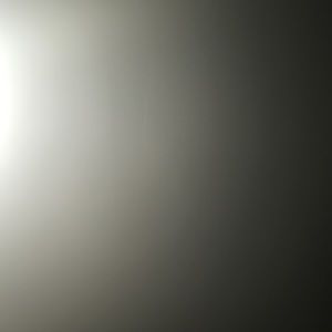 Meet your Posher, Mia