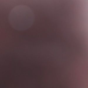 Meet your Posher, Max