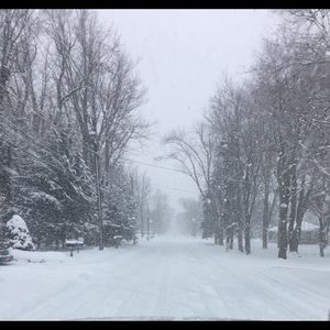 Meet your Posher, Alessandra