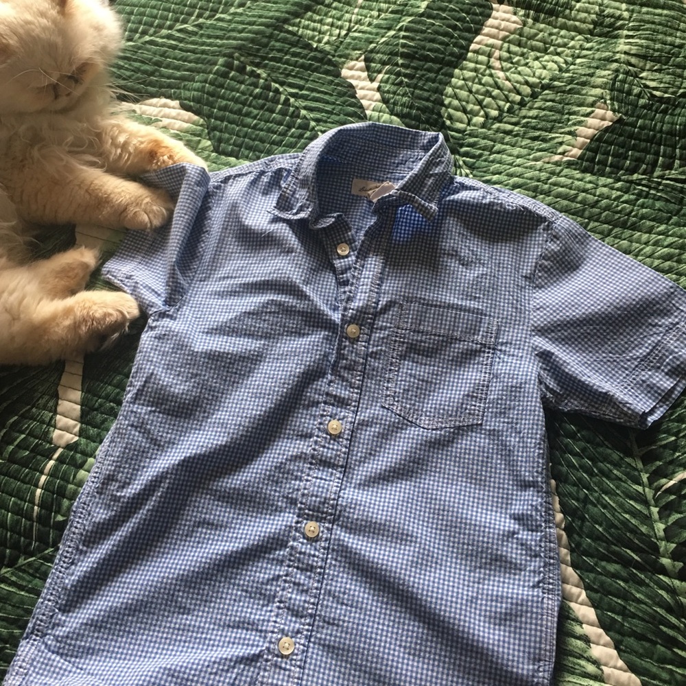 H&M LOGG basic short sleeves button down shirt 👔