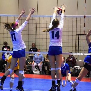 Meet your Posher, Sydney