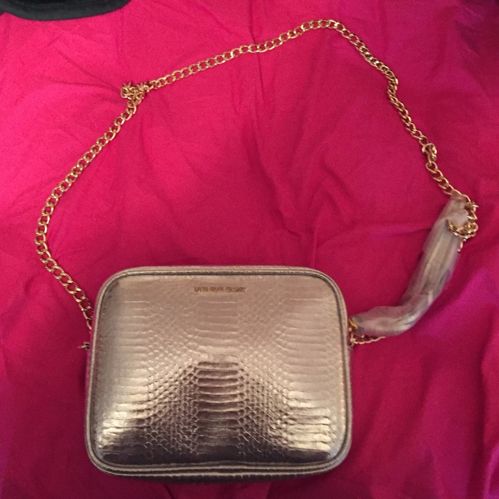 Brand New! Victoria's Secret fashion show bag!