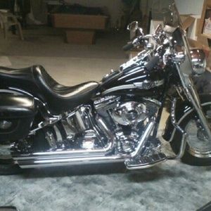 Meet your Posher, Jenni