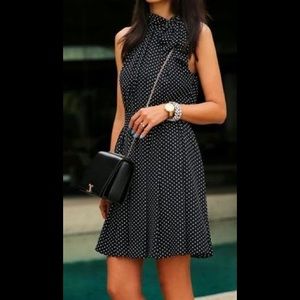 Express fit and flare dress