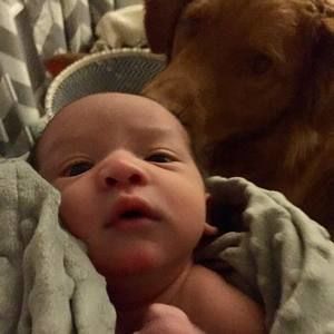 Meet your Posher, Krista