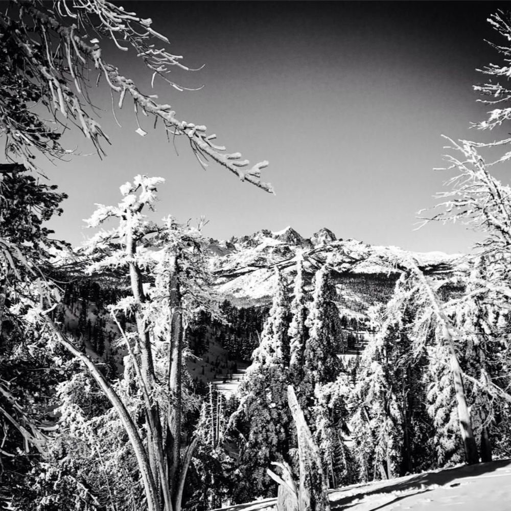 Meet your Posher, Gina