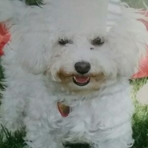 Meet your Posher, Kay