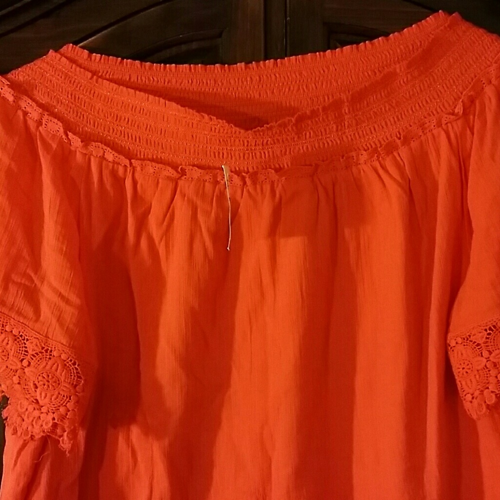 Lane Bryant Beautiful shirt