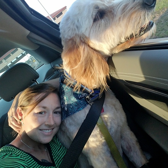 Meet your Posher, Michelle - Picture 2 of 2