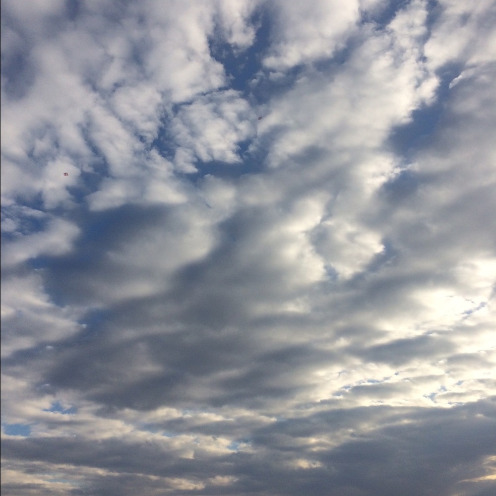 Meet your Posher, Weiwei