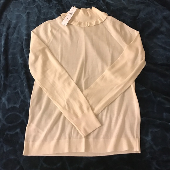 Ann taylor turtle neck long sleeve top (MEDIUM) - Picture 2 of 4