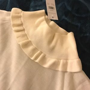 Ann taylor turtle neck long sleeve top (MEDIUM)