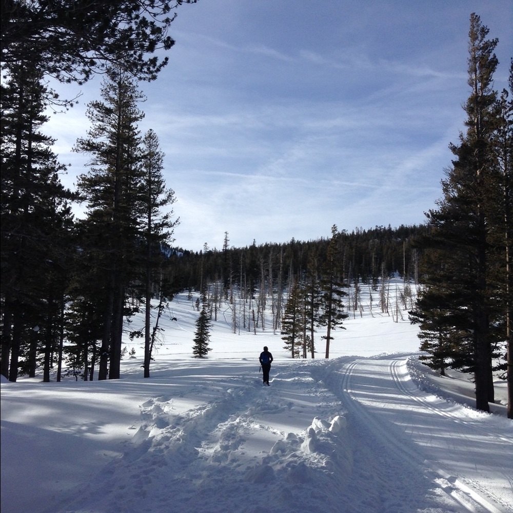 Meet your Posher, Alex