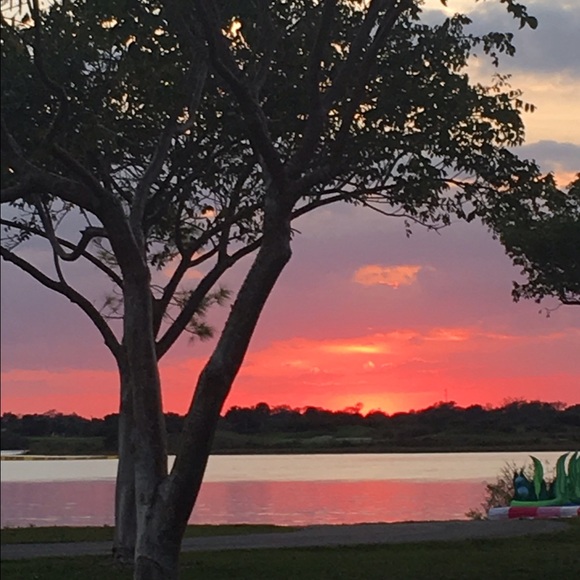 Meet your Posher, Sharon - Picture 3 of 4