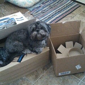 Meet your Posher, Cyndi