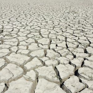 Meet your Posher, Bridget