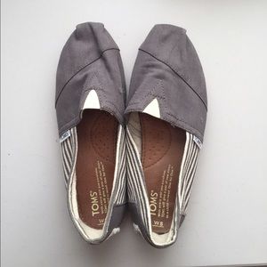 Grey  Striped Toms