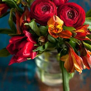 Meet your Posher, Denise