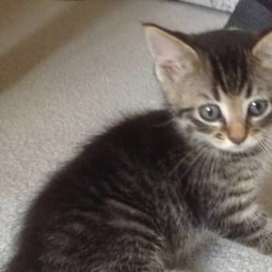 Meet your Posher, Becky